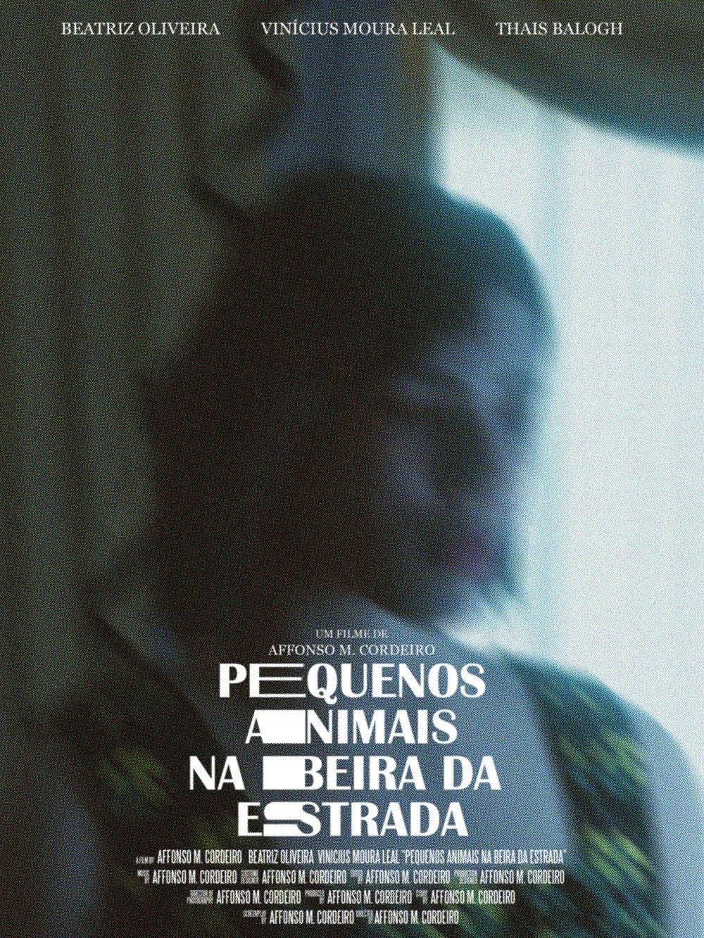 Pequenos Animais na Beira da Estrada